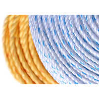 Industrial Nylon Ropes