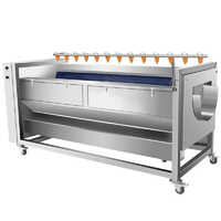 Ginger Peeler And Washing Machine - Application: Fruit & Vegetable Washer System