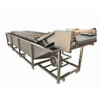 Fruit And Vegetable Washer - Color: Silver