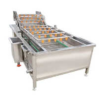 Industrial Vegetable Washer