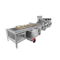 Ss Fruit And Vegetable Washer Machine - Color: White
