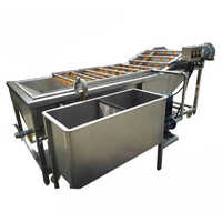 Continuous Type Fruit And Vegetable Washer - Color: Silver
