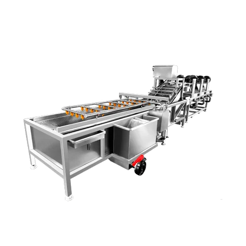 Clean Vegetable And Fruits Processing Solution - Capacity: 500-5000 Kg/Day