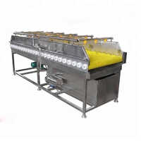 Clean And Wash Dates Processing Machine - Automation Grade: Fully Automatic