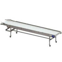 Inspection Conveyor Belt - Color: Grey