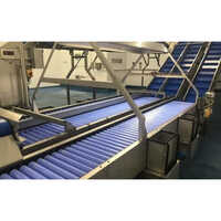 Roller Inspection Conveyor - Color: Grey