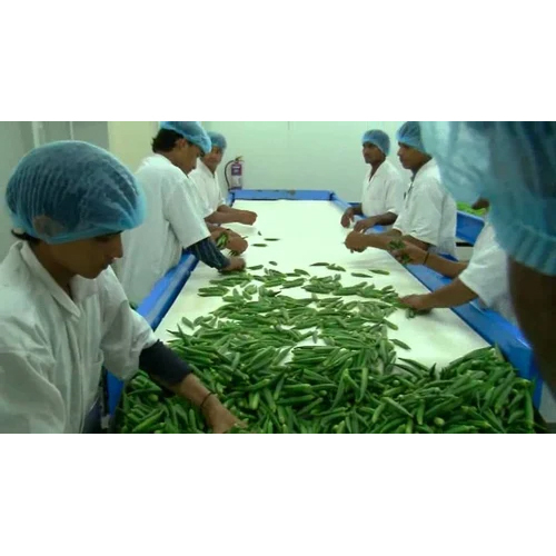 हरे मटर प्रसंस्करण संयंत्र