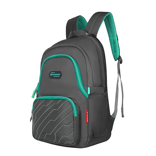 ZAP 28L Grey And Teal Casual College Backpack