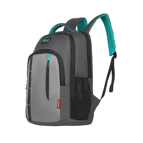 Inno 31 L Grey-Teal Casual Backpack