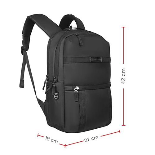 Phoenix 20L Casual Laptop Backpack