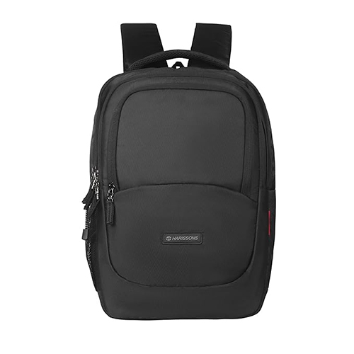 Persist 23 L Casual Laptop Backpack