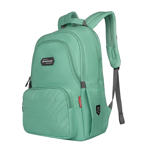 ZAP 28L Mint Green And Grey Casual College Backpack