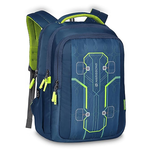 Skater 36L Casual Backpack
