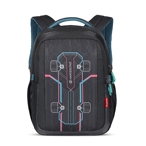 Skater 36L Grey And Teal Casual Backpack