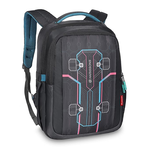 Skater 36L Grey And Teal Casual Backpack
