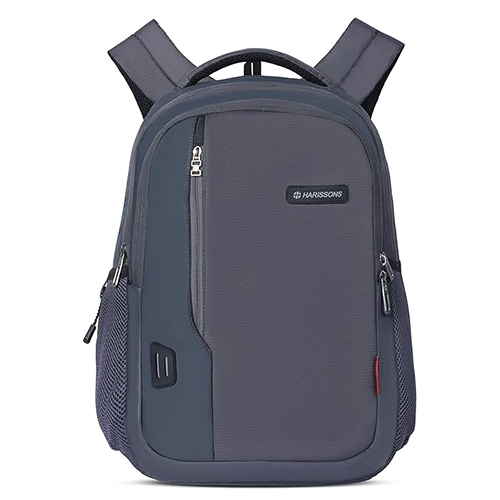 Radio 34 L Grey Laptop Backpack