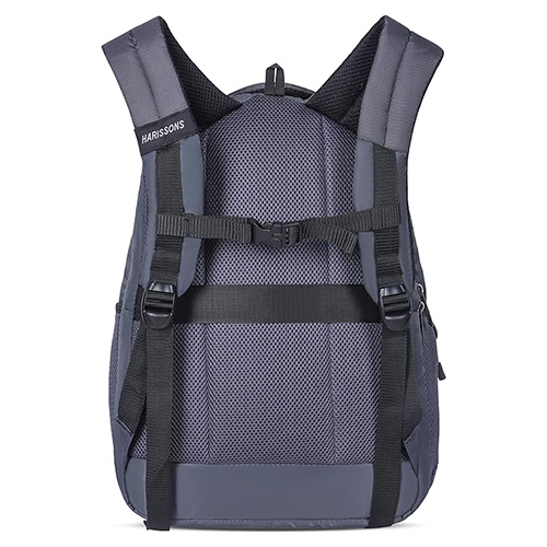 Radio 34 L Grey Laptop Backpack