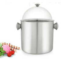 Ice Cream Dispenser - Color: Silver