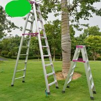 Cameo Ladder