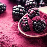 Blackberry Fruit Powder - Ingredients: Herbs