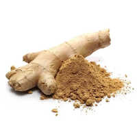 Ginger Extract Powder