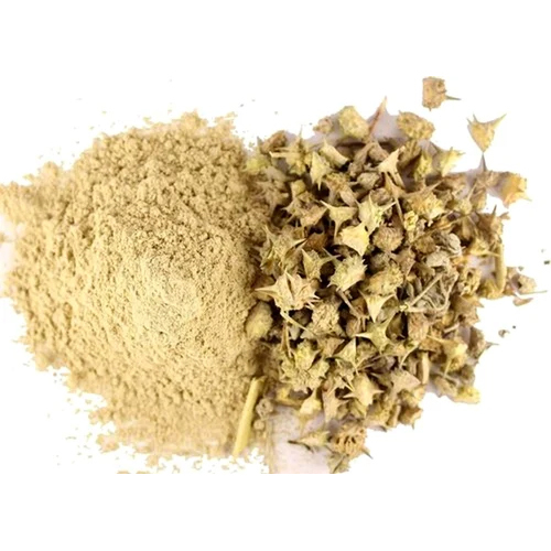 Gokhru Dry Extract
