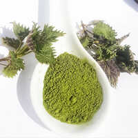 Nettle Leaves Dry Extract - Purity(%): 100 %
