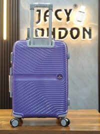Purple 3 PCS set Trolley bag