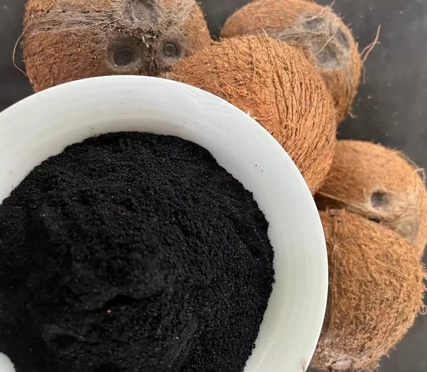 Activated Carbon Coconut Base (Powder)
