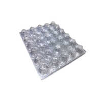 30 Egg Tray