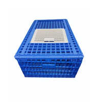 Bird Transportation Box Cage - Feature: High Quality
