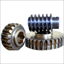 Worm Wheel