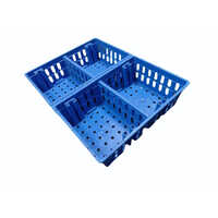 Chicks Transportation Box
