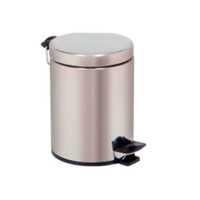 SS Paddle Operated Dust Bin