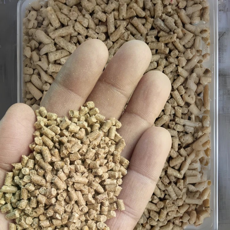 Animal Feed Additives