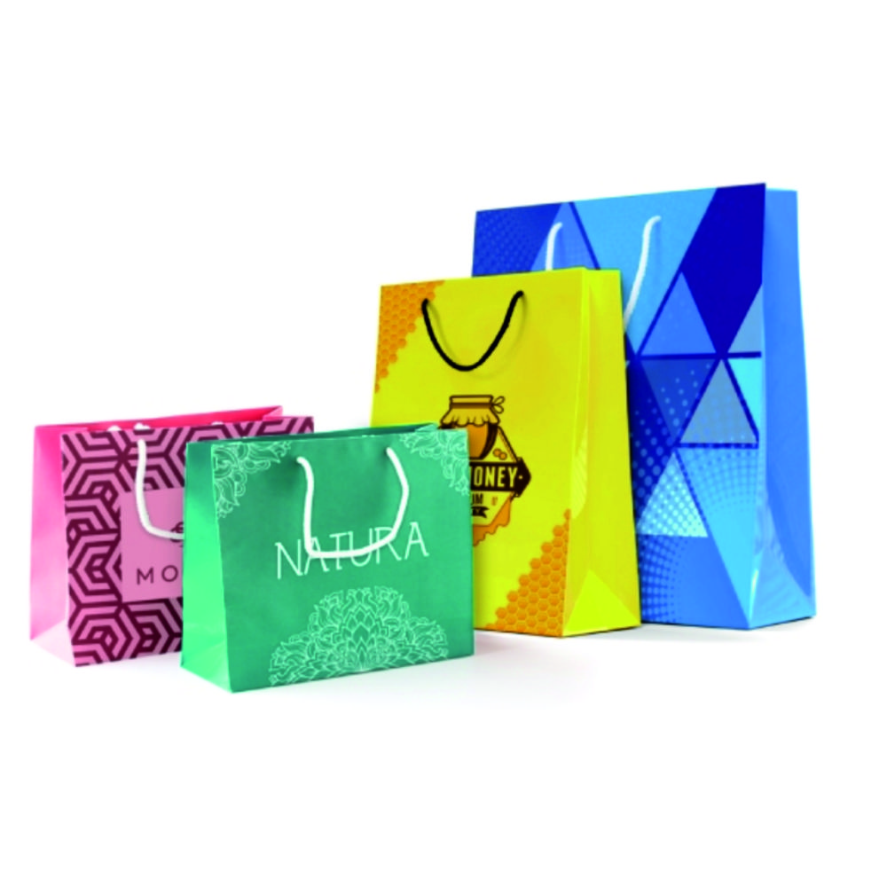 Paper Bag Printing Service