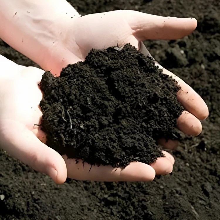 Organic Soil Conditioner