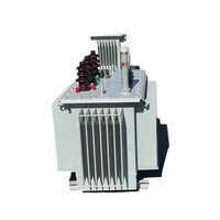 Dry Type Distribution Transformer - Efficiency: High