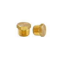 Brass Hex Stop Plug - Color: Golden