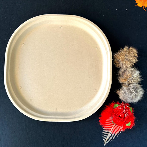 Paper Plate