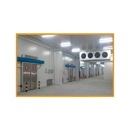 Frozen Based Cold Storage Plant