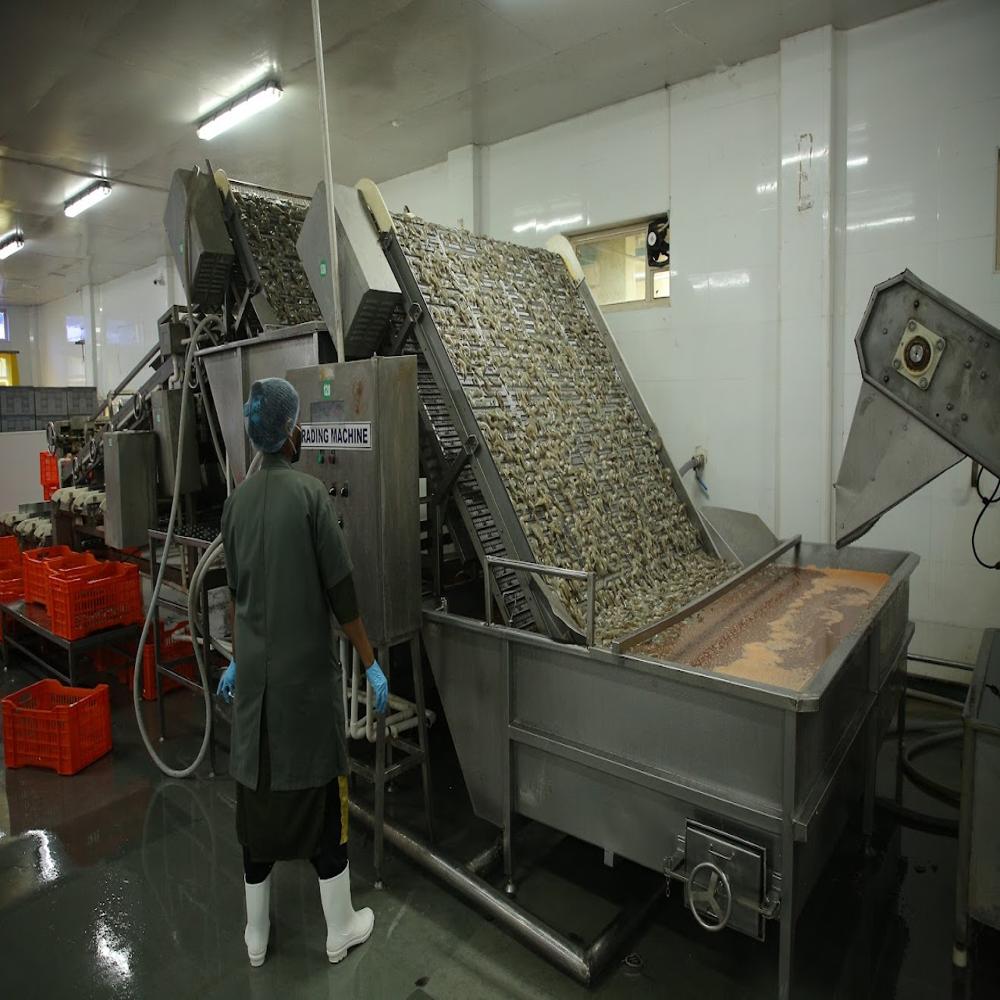Electric Shrimp Grading Machine