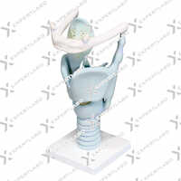 Larynx Model