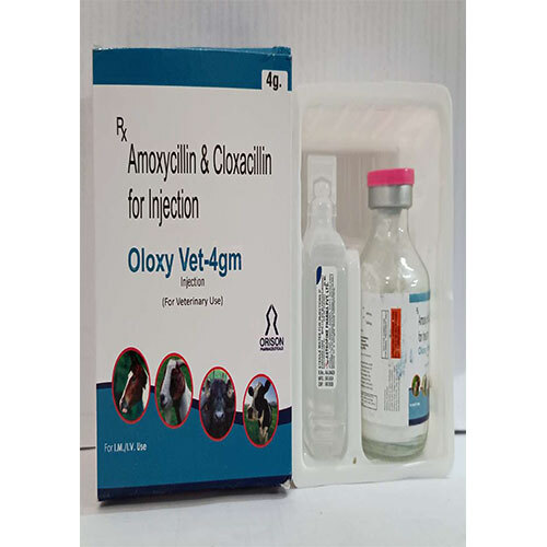 Amoxicillin  Cloxacillin  With Tray