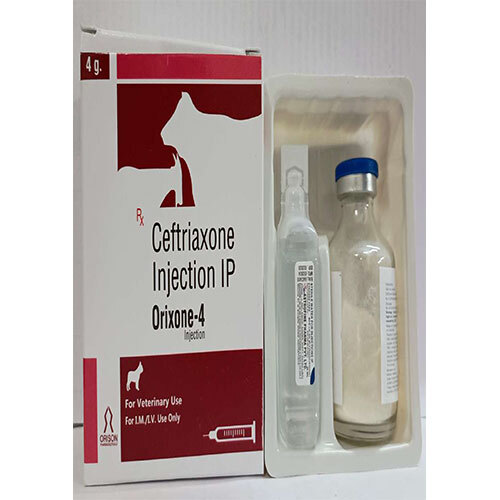 Ceftriaxone 4Gm