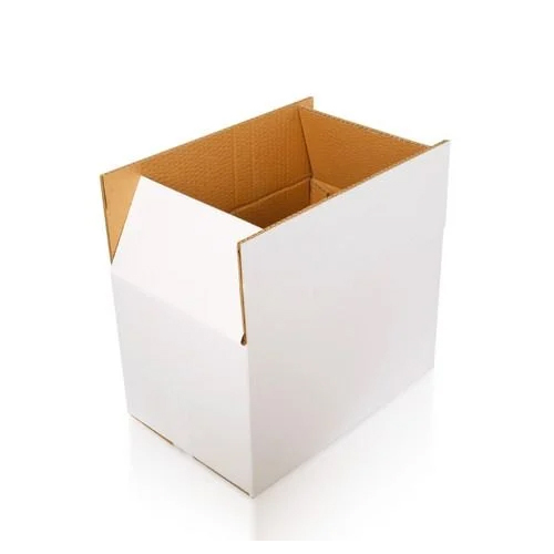 Corrugated Printed Packaging Box - Load Capacity: 5 Kilograms (Kg)