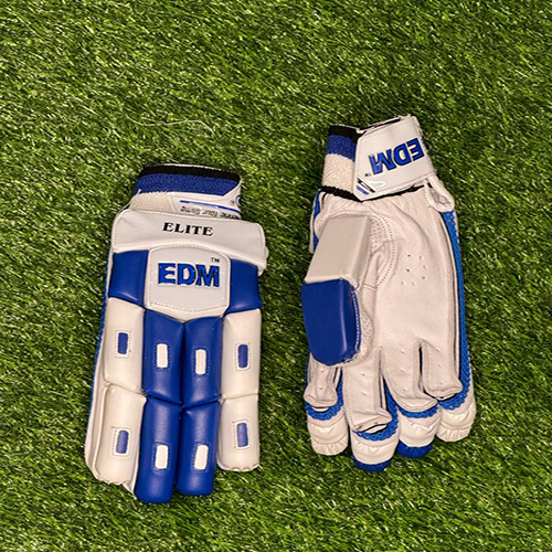 Elite 2.O Cricket Gloves