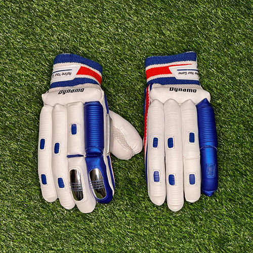 Cricket Gloves