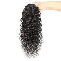 Premium Remy Claw-Clip Ponytail Extension Wavy Human Hair (20 Inch)