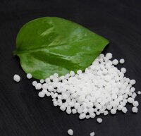 Supplier of Calcium Nitrate in Kanpur